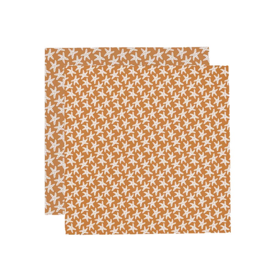 Hydrophilic Cloths - Orange - Seastar - 110 x 110 cm - 2 pieces