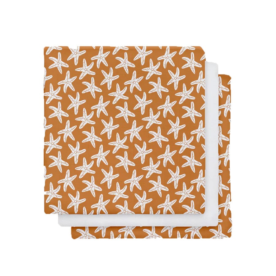 Hydrophilic Cloths - Orange - Seastar - 60 x 60 cm - 3 pieces
