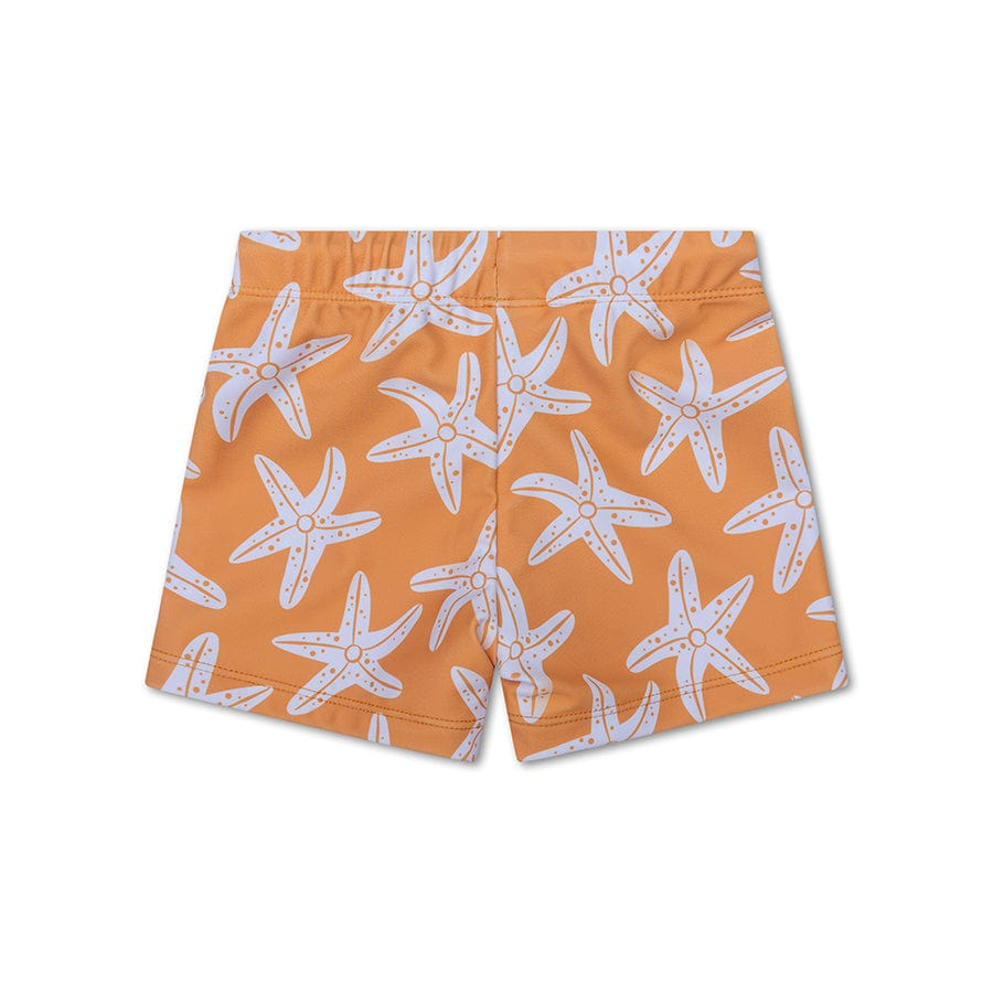 Swim Boxer - Orange - Seastar