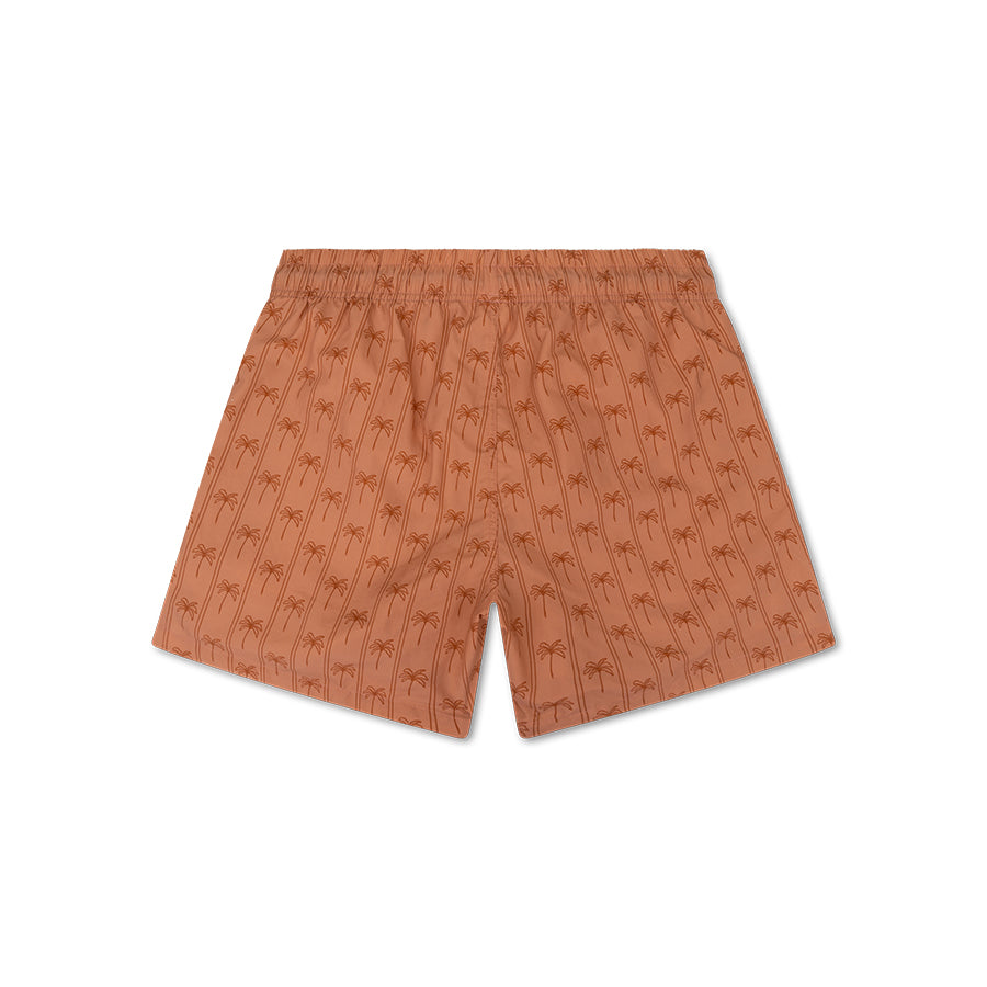 Shorts de bain - Marron - Palm Stripe - Adult
