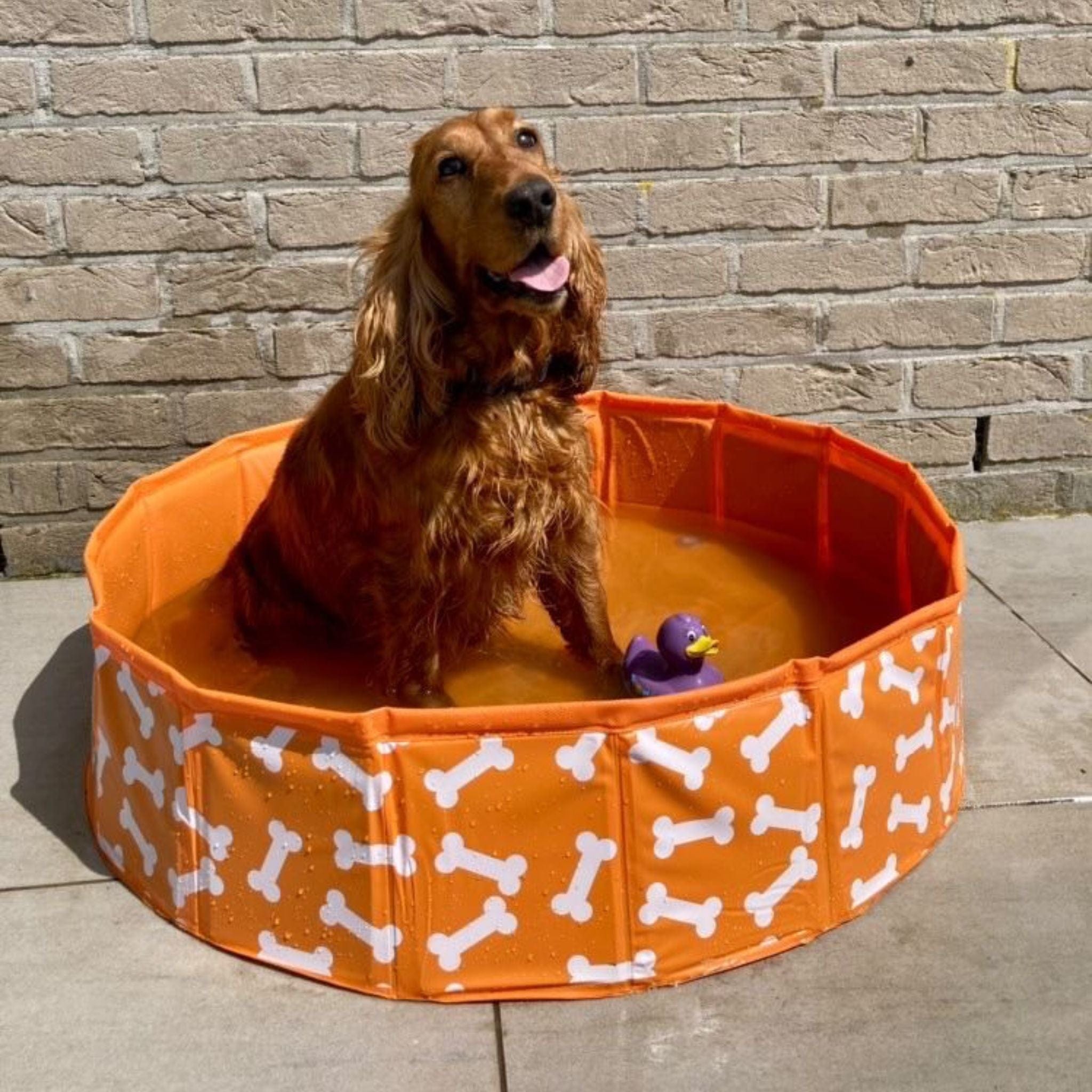 Piscina para Perros - Naranja - Bonebash - Ø 80 cm