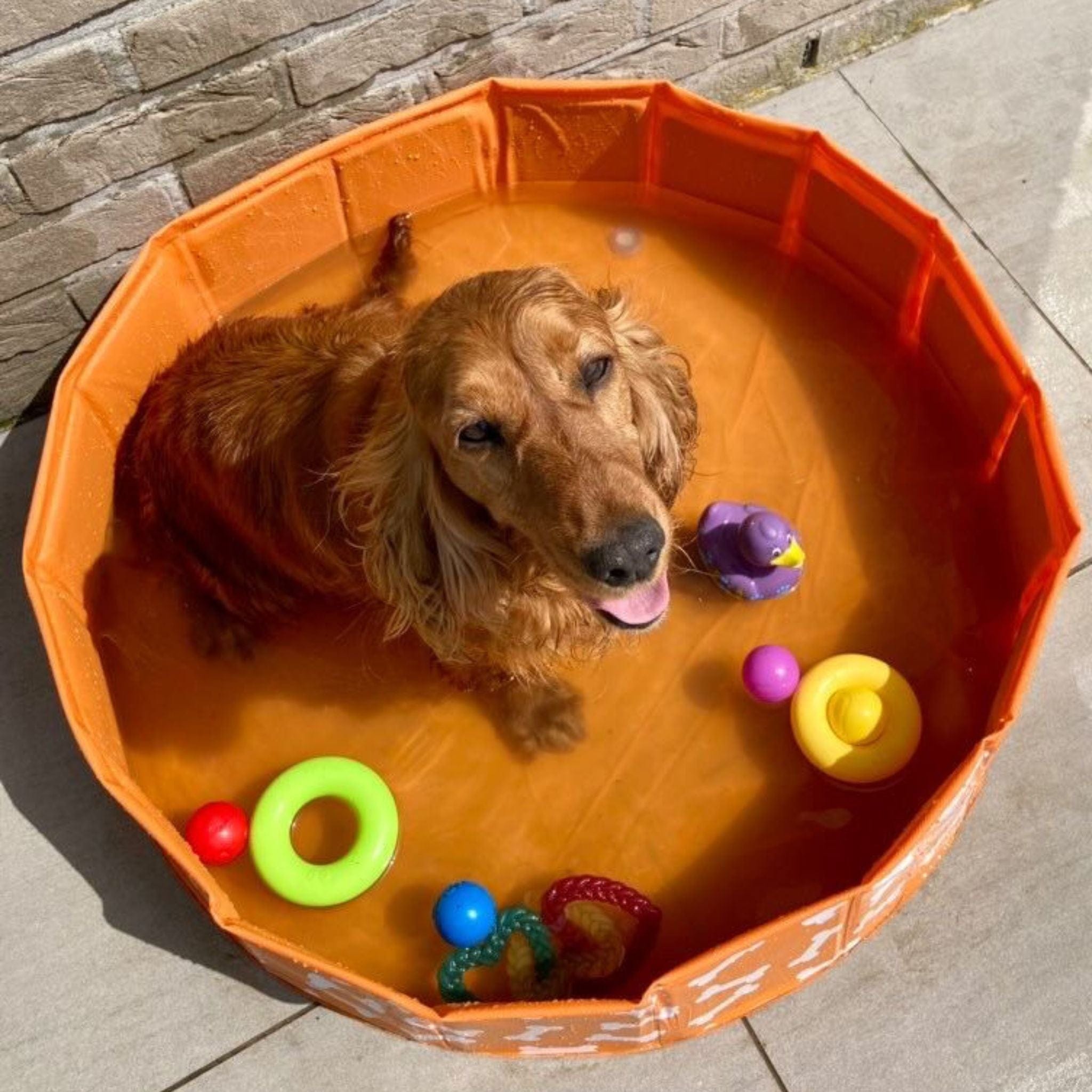 Piscina para Perros - Naranja - Bonebash - Ø 80 cm