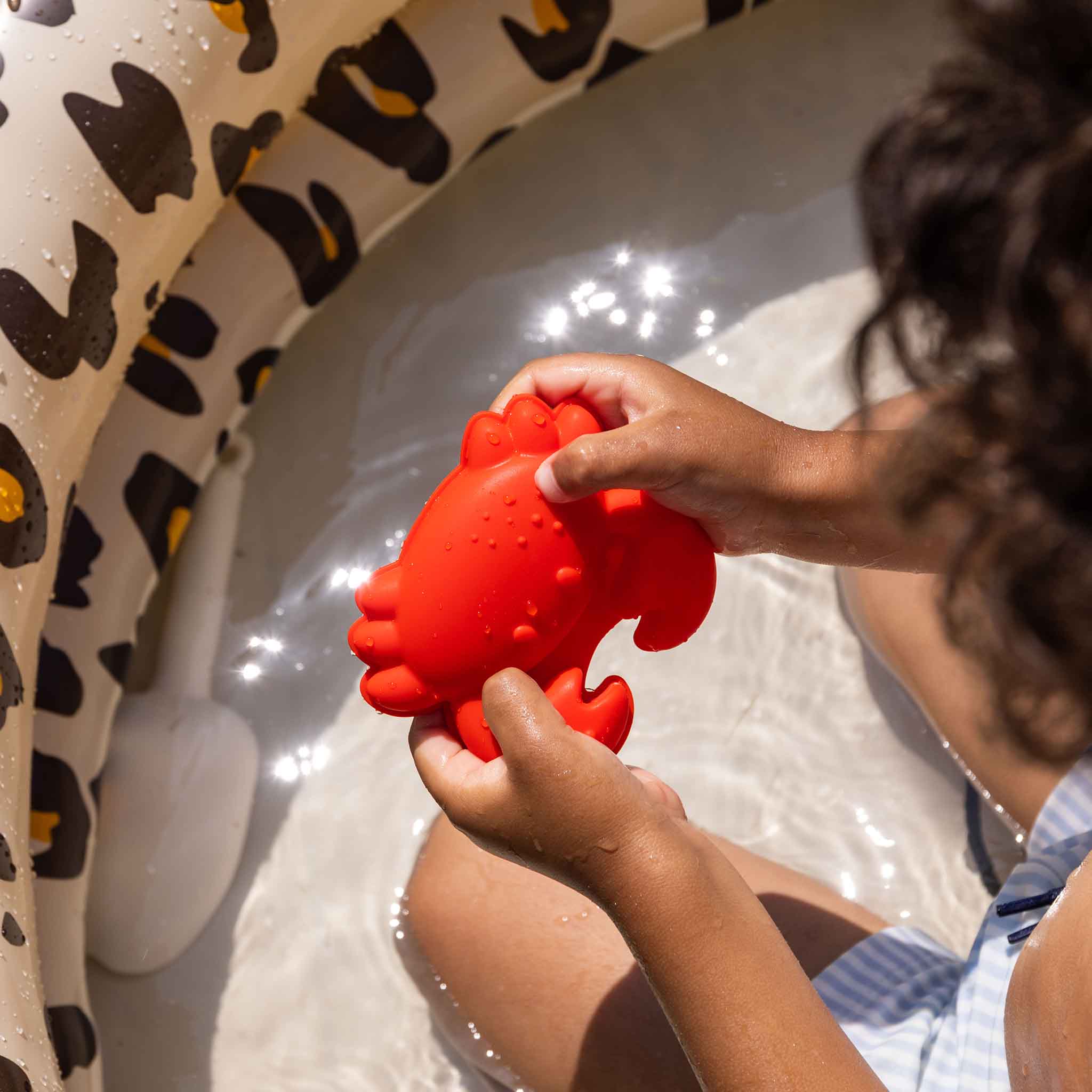 Beach Toys - Multicolor - Pure Tones Ocean