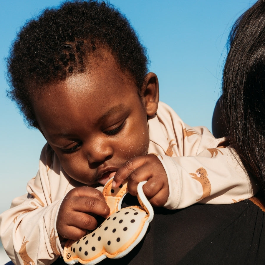 Juguetes de buceo - Beige - Wild Life