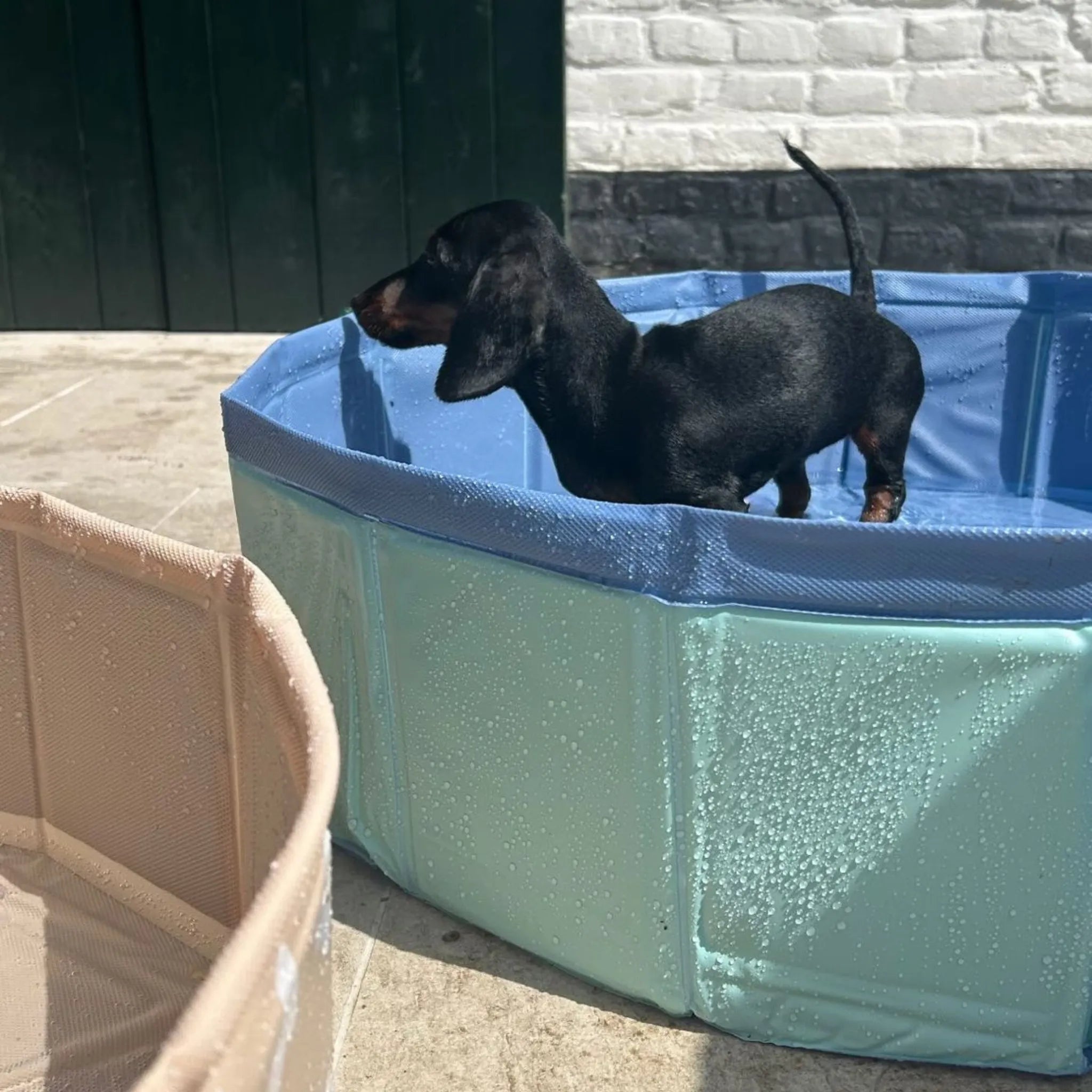 Piscina para Perros - Verde Menta - Azuls - Ø 80 cm