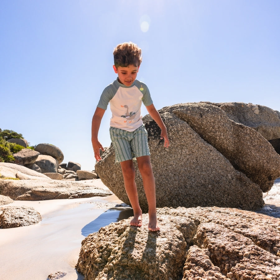 Camiseta de natación - Manga corta - Verde - Resort Stripe