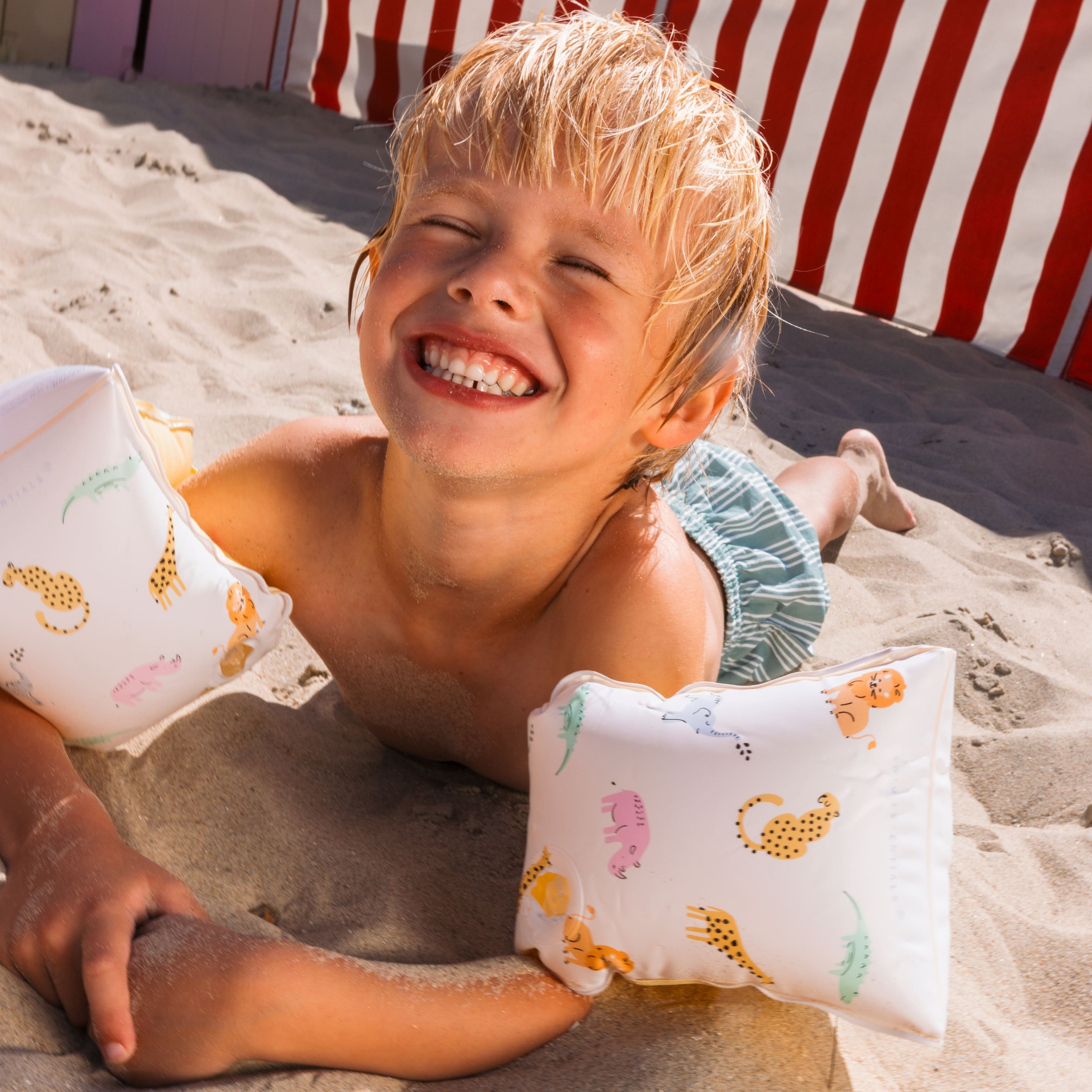 Arm Bands - Multicolor - Wild Life - 2/6 Years