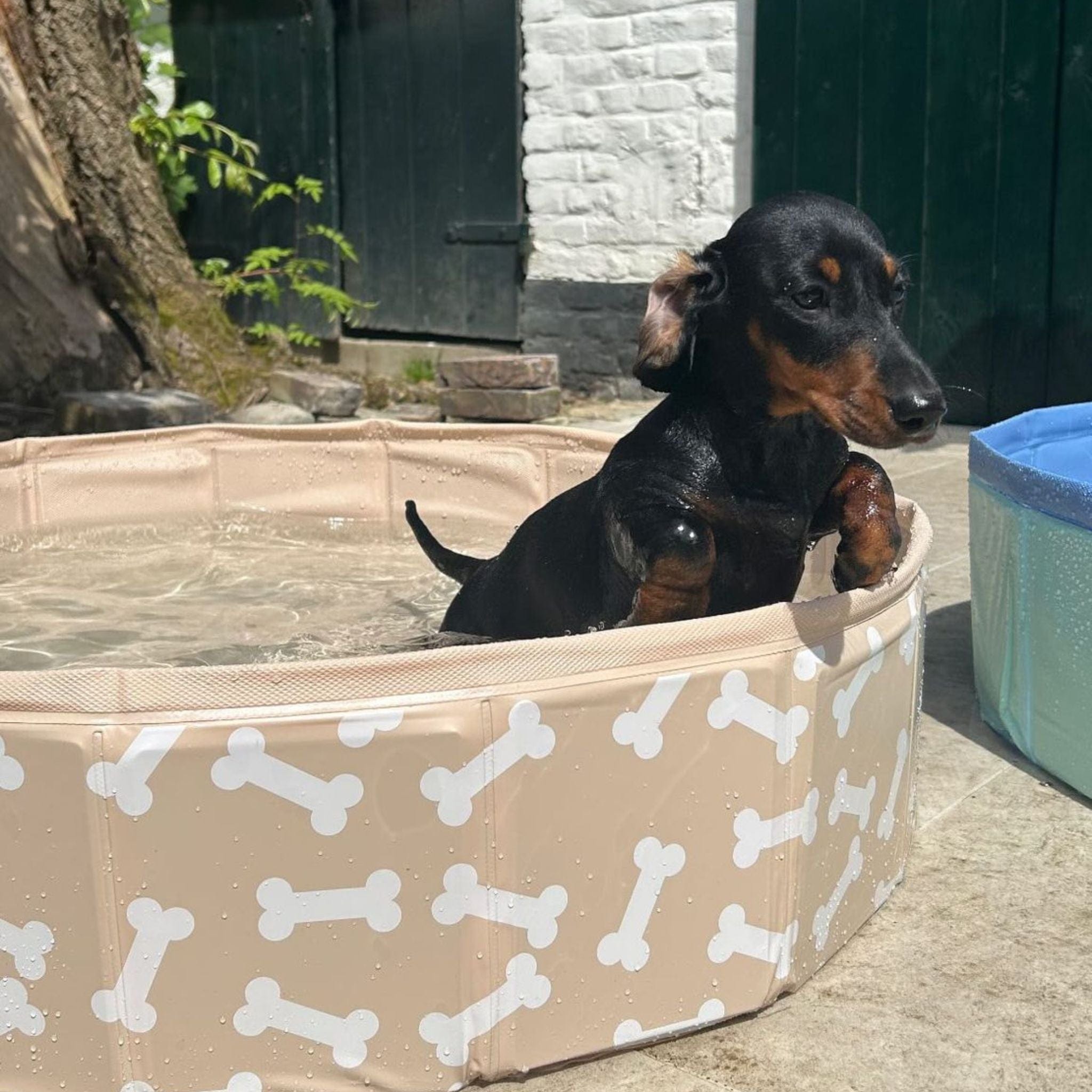 Dog Pool - Beige - Bonebash - Ø 80 cm